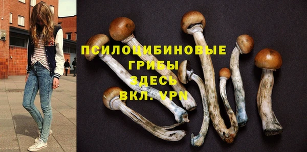 гидропоника Абинск
