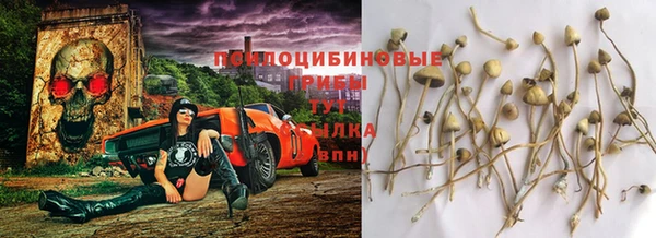 соль ск Алзамай