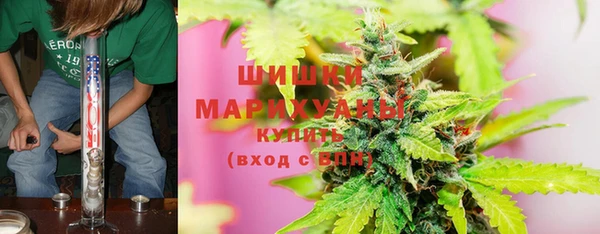 соль ск Алзамай