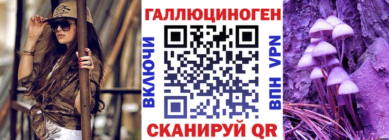 площадка наркотические препараты  Элиста  Галлюциногенные грибы Magic Shrooms  сколько стоит  кракен ТОР 