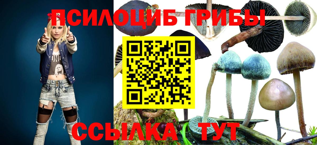 Псилоцибиновые грибы MAGIC MUSHROOMS Элиста