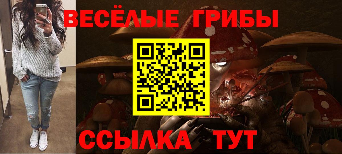 Псилоцибиновые грибы Magic Shrooms  Вход с VPN  Элиста 